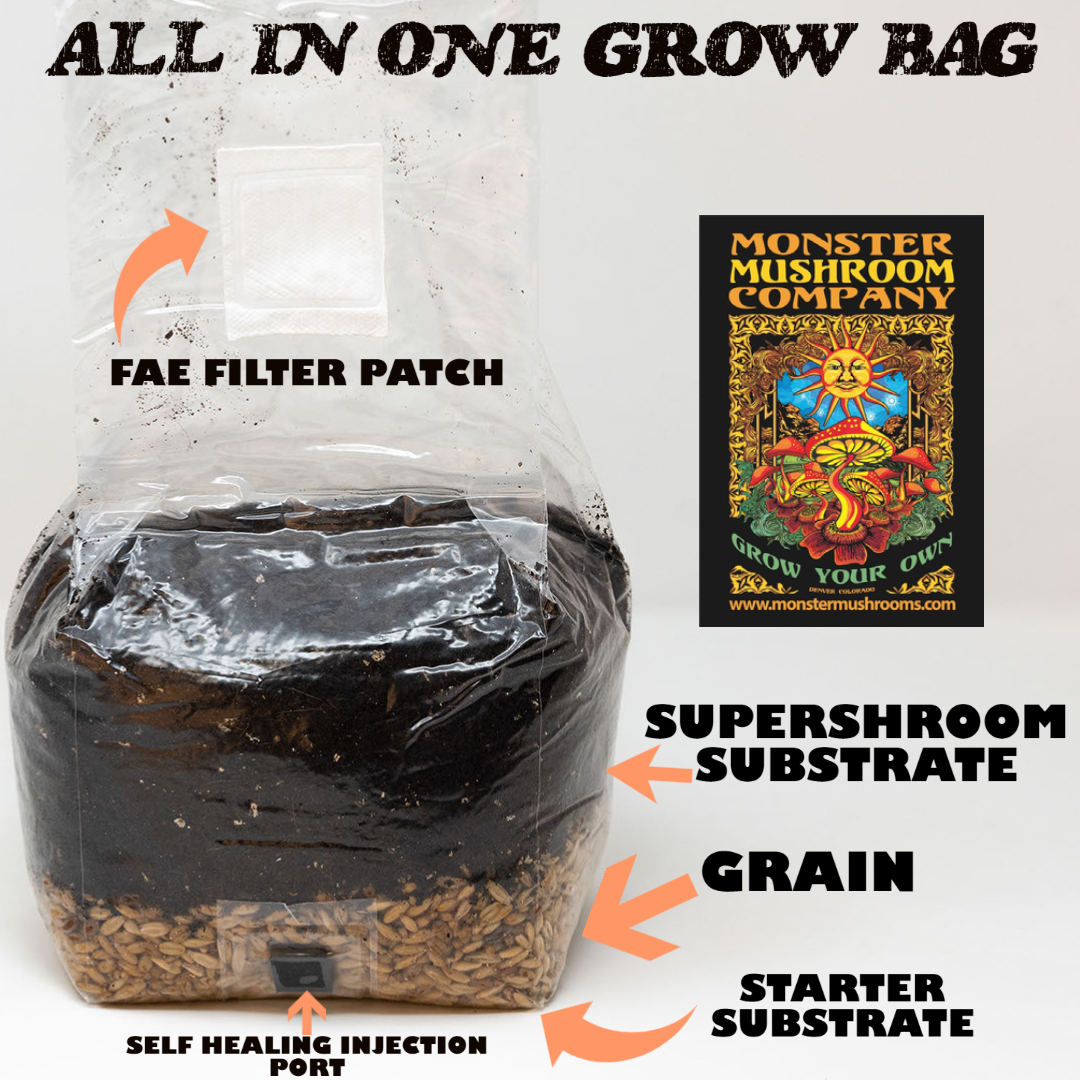 3 layer Super all-in-one mushroom grow bag
