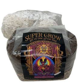 All-in-One Gourmet Wood Lovers Mushroom Grow Bag by Monster Mushrooms.