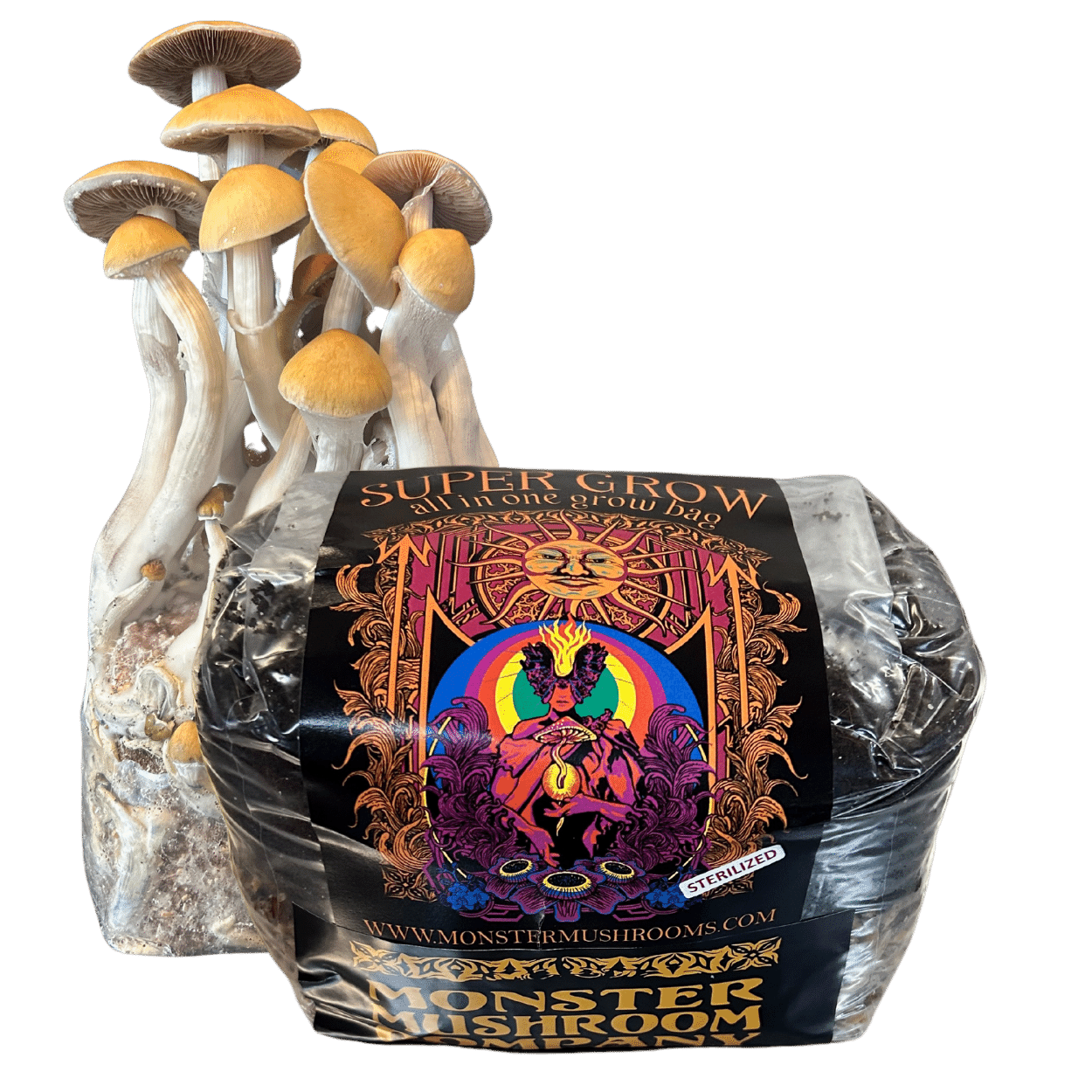 Monster Mushroom All-in-One 3lb. Grow Bag